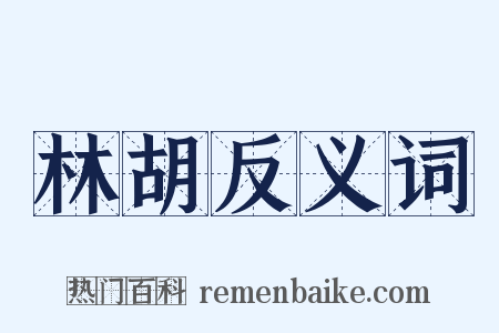 林胡反义词是什么意思的图片